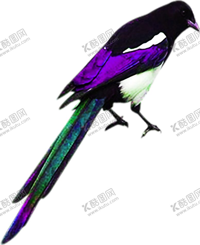 编号：22544110041611239189【酷图网】源文件下载-花素材