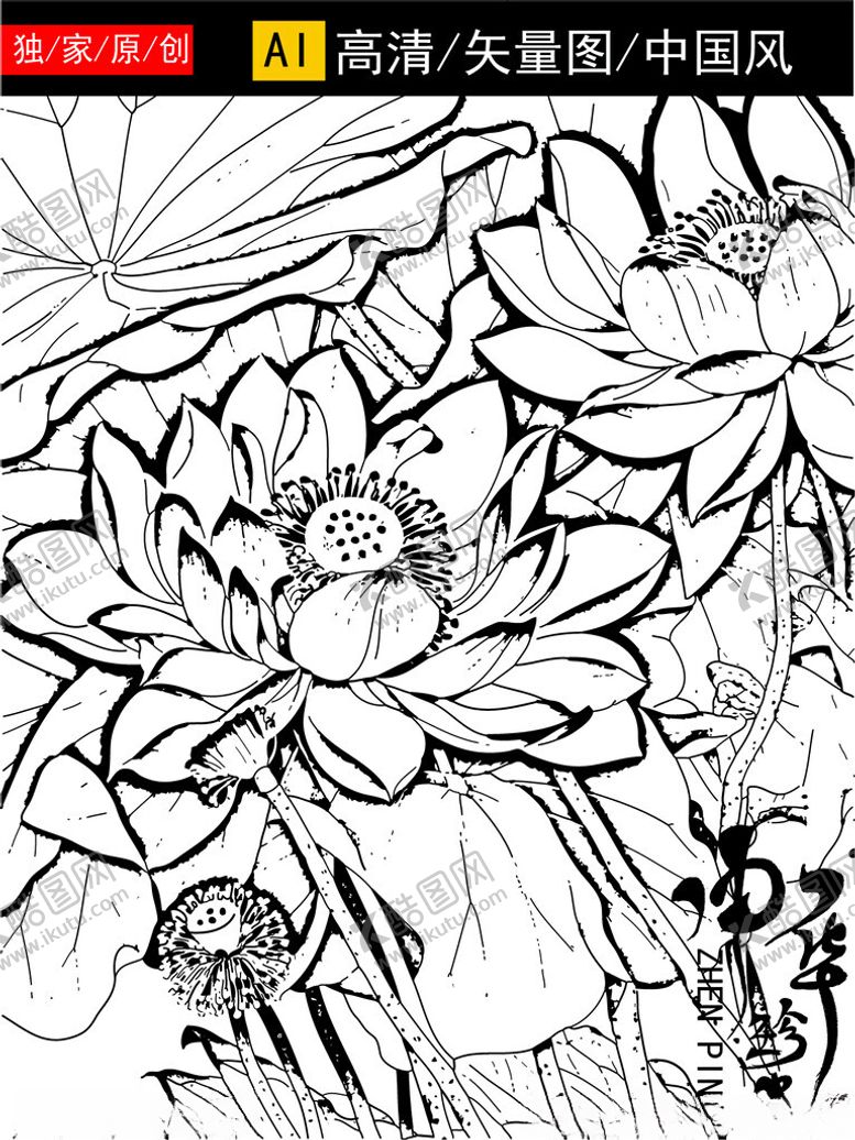 编号：45627904052140478298【酷图网】源文件下载-黑白荷花线稿图案设计