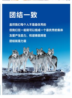 企业文化