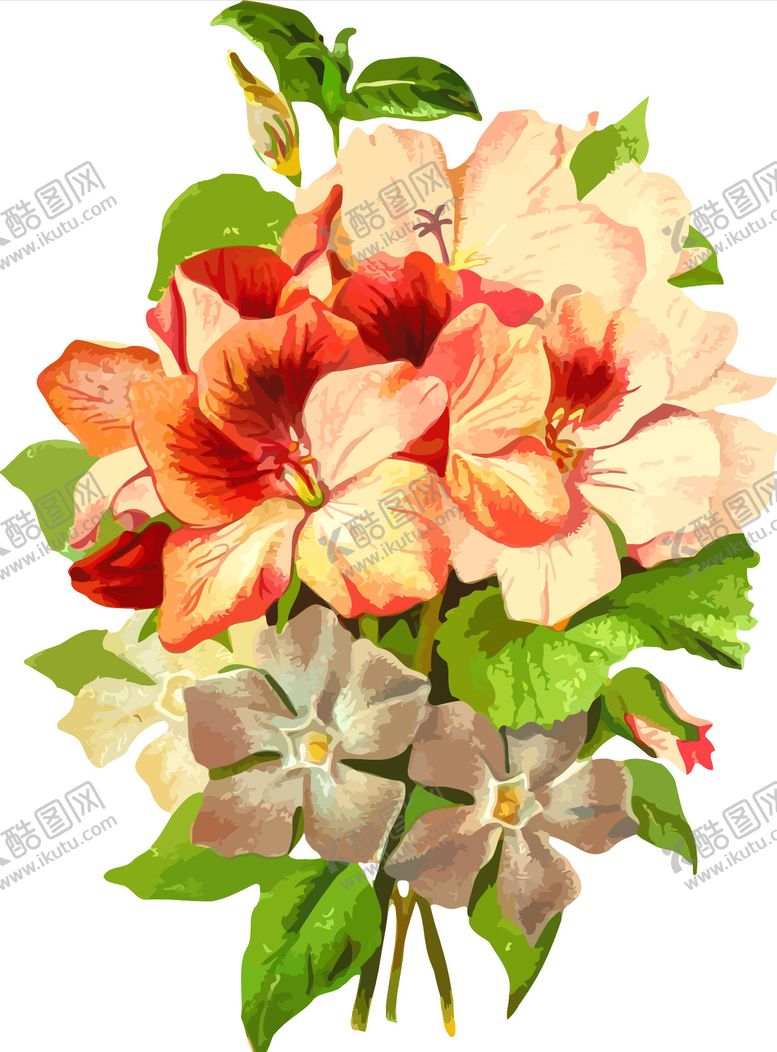 编号：68558809081437288823【酷图网】源文件下载-艳丽花卉插画