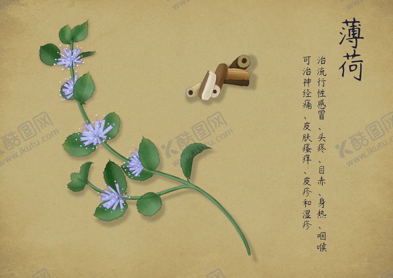 编号：95107209261219381237【酷图网】源文件下载-薄荷