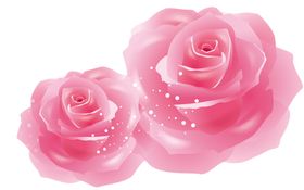 鲜花素材装饰彩色唯美