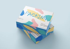 高端礼品购物袋VI包装盒效果图