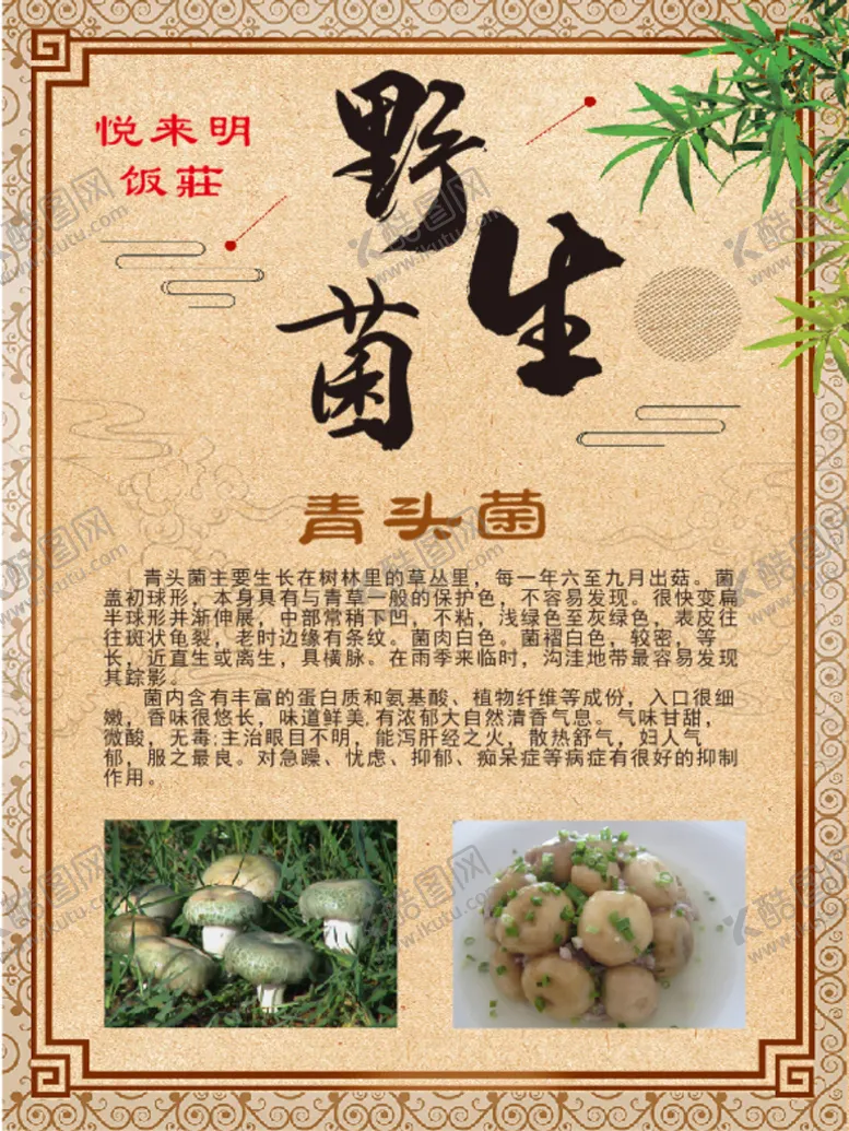 编号：56482801260612596250【酷图网】源文件下载-野生菌