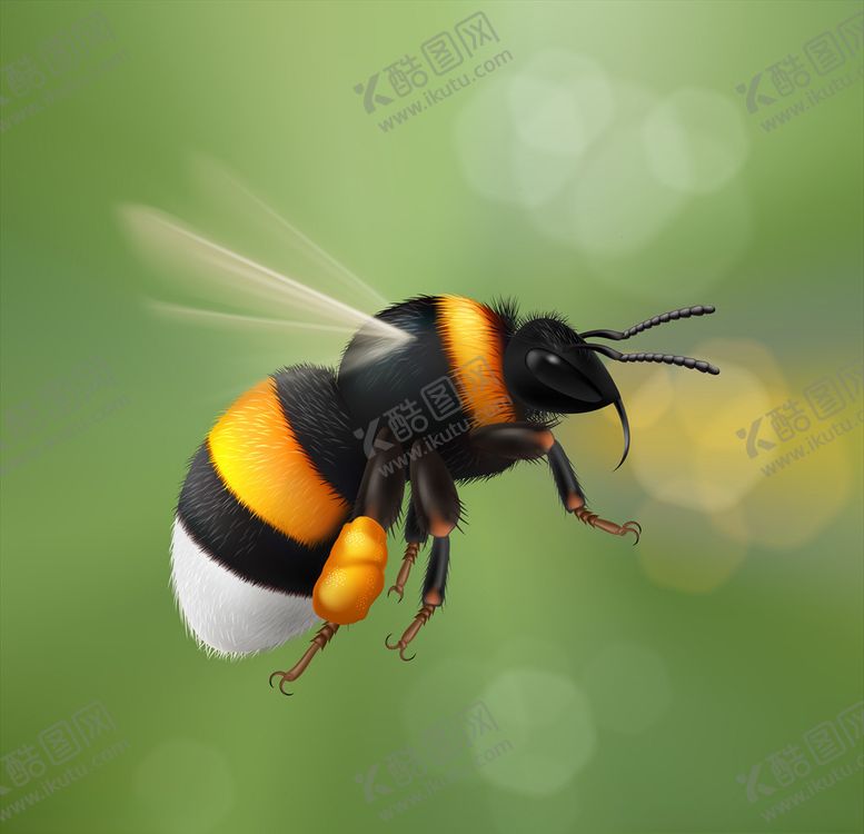编号：81969009260816558282【酷图网】源文件下载-蜜蜂