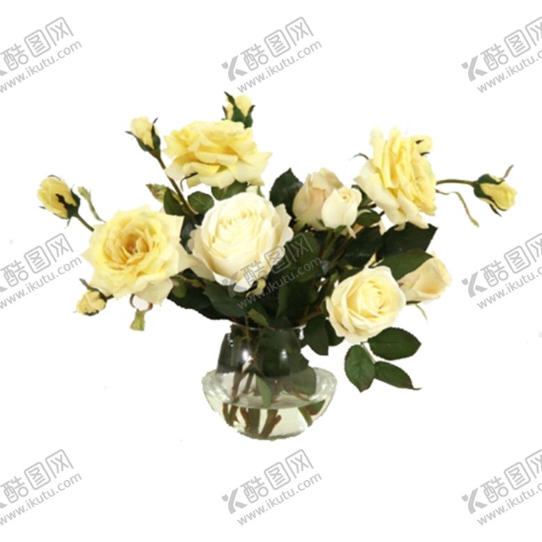 编号：91092310181625133790【酷图网】源文件下载-免抠背景花草树木