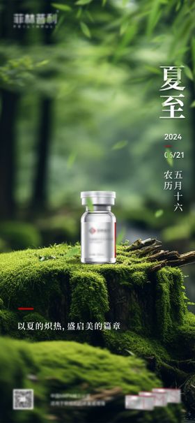 夏至节气海报