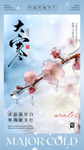 蓝灰白色国风素雅大寒节气宣传海报