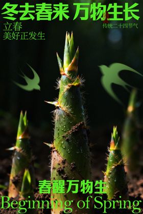 冬去春来万物复苏立春海报