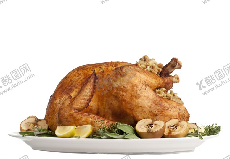 编号：22987710130136437066【酷图网】源文件下载-烤火鸡