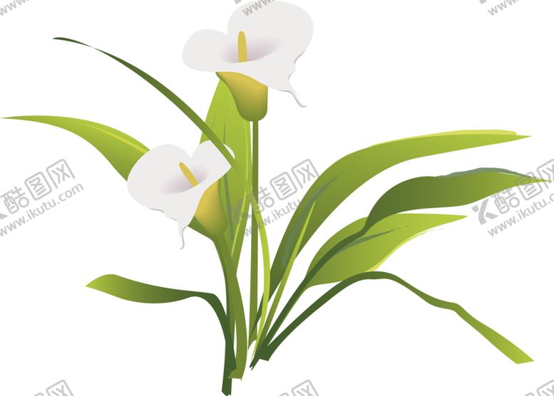 编号：77926510150505279954【酷图网】源文件下载-鲜花素材