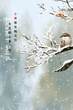 小寒素材宣传活动节气