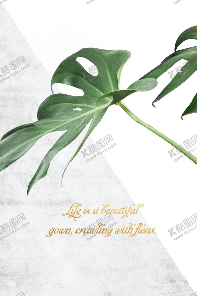 编号：54656009280905282159【酷图网】源文件下载-植物装饰画图片
