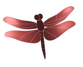 蜻蜓