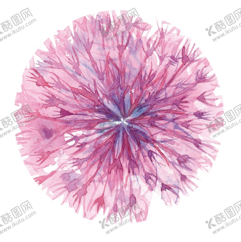 编号：41823312130353153878【酷图网】源文件下载-手绘花卉