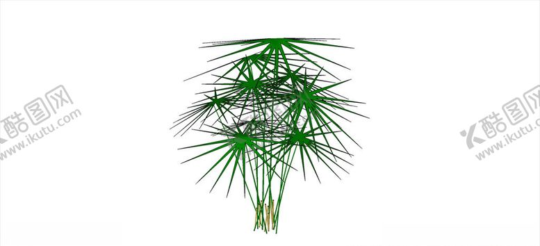 编号：61086210090048071134【酷图网】源文件下载-棕竹模型