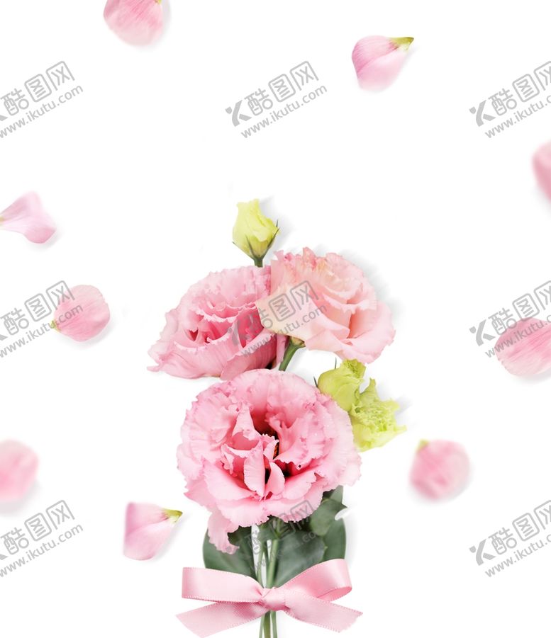 编号：71993405191100355562【酷图网】源文件下载-粉色鲜花