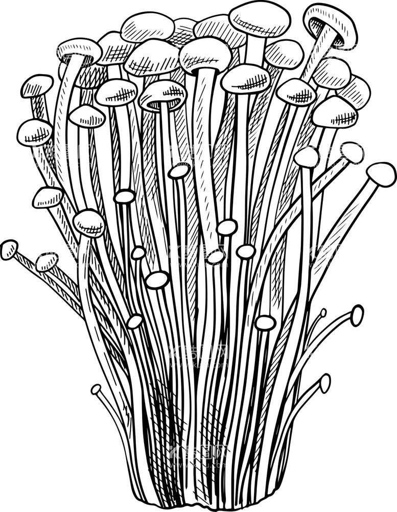 编号：56855712212033232411【酷图网】源文件下载-蘑菇