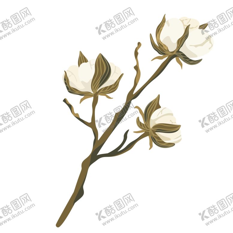 编号：96738507011633469680【酷图网】源文件下载-森系花枝