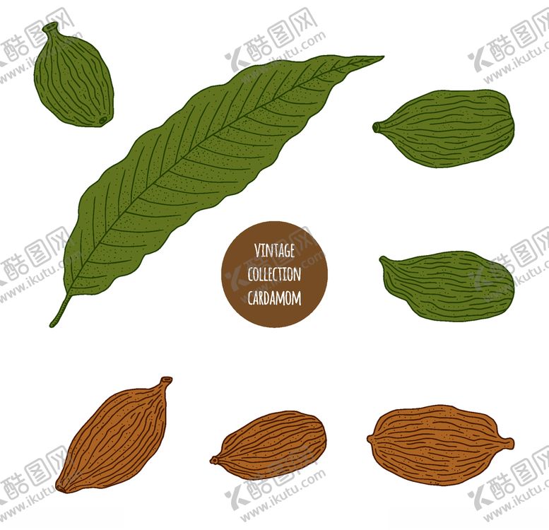 编号：38681409202012599423【酷图网】源文件下载-植物线稿