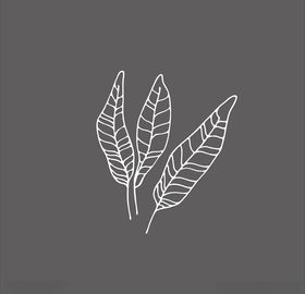 海草时尚洋生物素材卡通