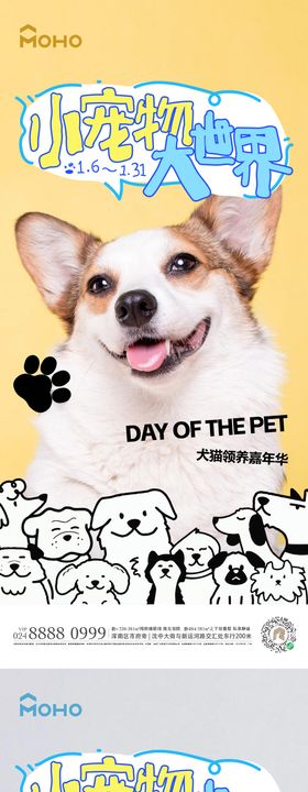 地产宠物大世界海报