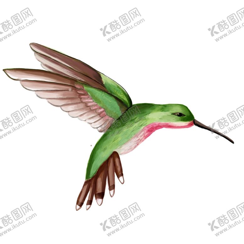 编号：32089401250241178940【酷图网】源文件下载-蜂鸟