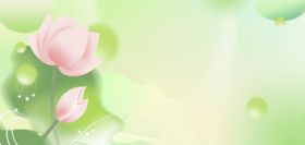 立夏荷叶荷花绿色弥散风背景