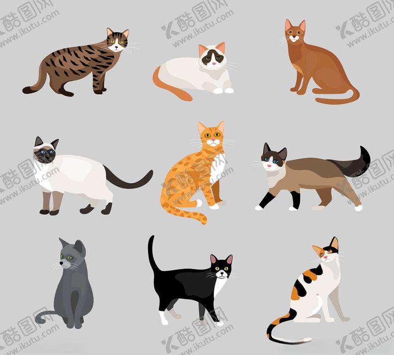 编号：57879602211500587478【酷图网】源文件下载-猫咪插画
