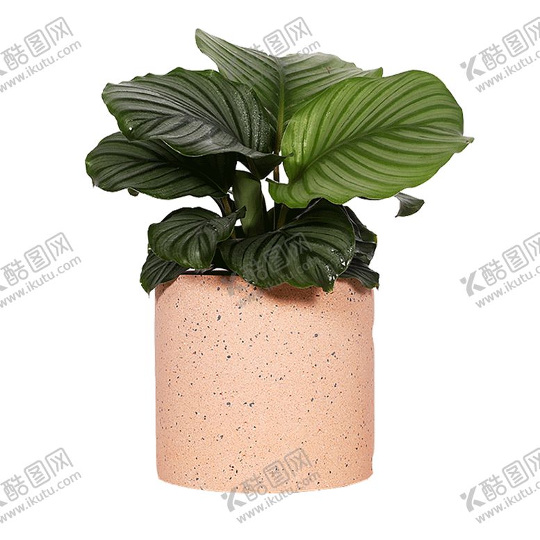 编号：28988509250126072713【酷图网】源文件下载-绿色相框