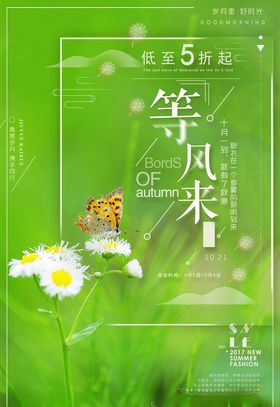 等风来