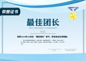 荣誉证书收藏授权高档
