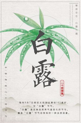 白露节气稿海报