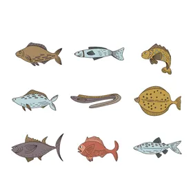海洋生物底动动底世界