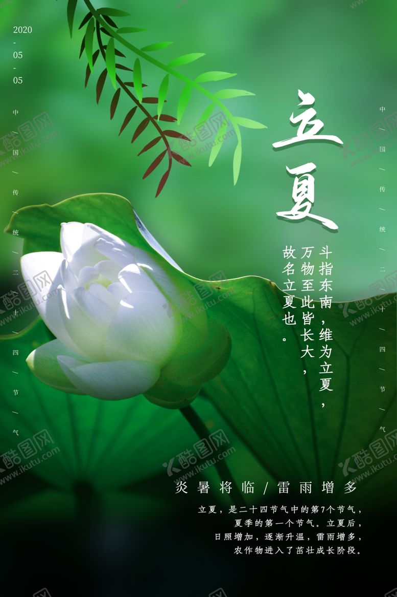 编号：38023707141634417098【酷图网】源文件下载-立夏绿色荷叶海报