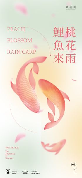 桃花雨鲤鱼来