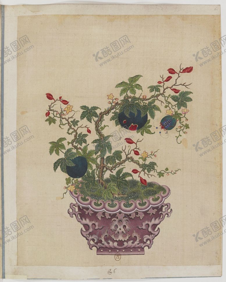 编号：71761604120542337332【酷图网】源文件下载-盆景花鸟