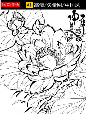 黑白荷花线稿图