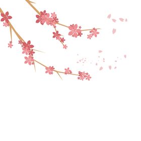 梅花素材