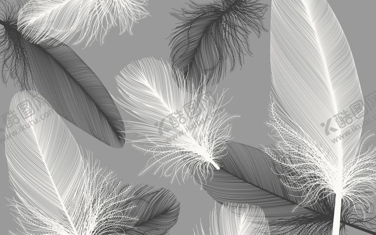 编号：79659810011307561047【酷图网】源文件下载-北欧白色羽毛背景墙