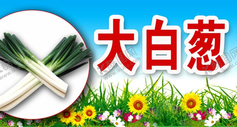 编号：96552906240703426607【酷图网】源文件下载-大白葱