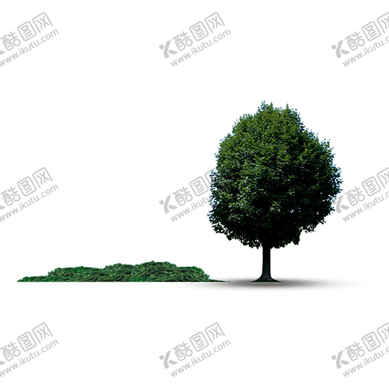 编号：19384909270246216875【酷图网】源文件下载-绿色装饰