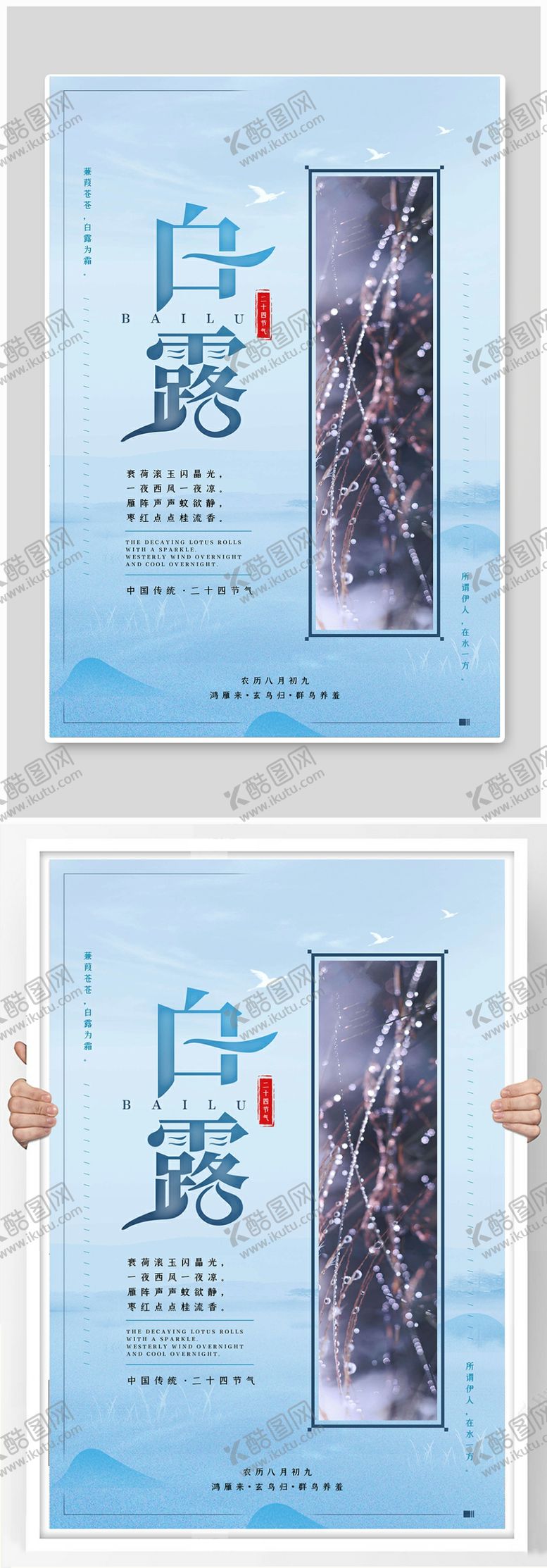 编号：91854309150723407573【酷图网】源文件下载-白露节气清新海报