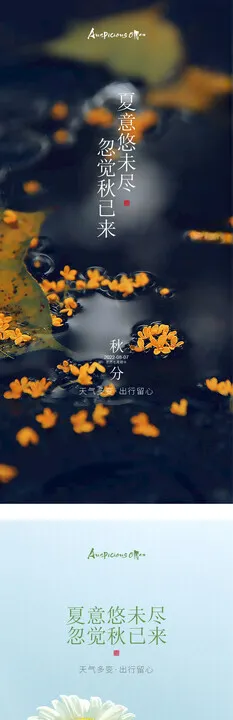 秋分节气海报