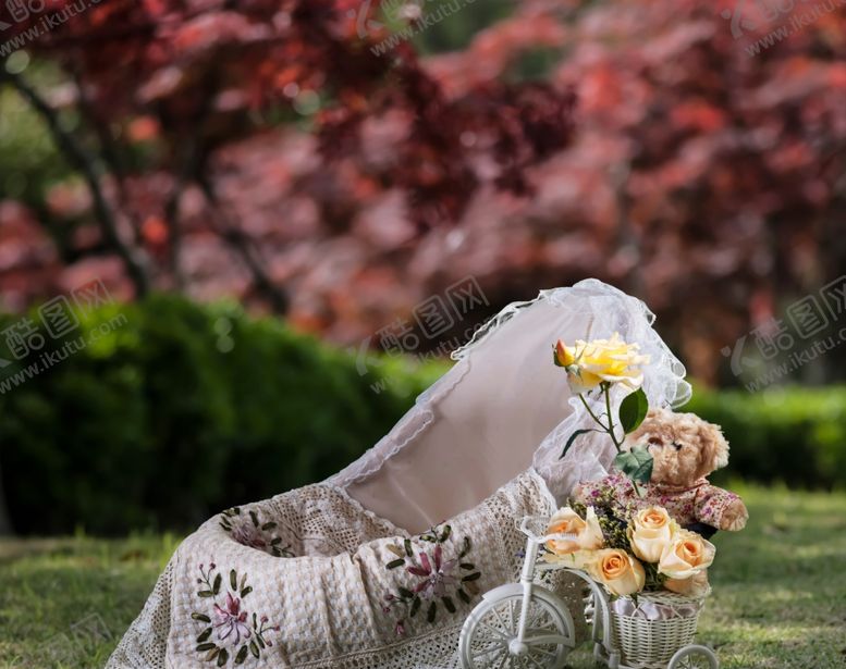 编号：30645810030616379943【酷图网】源文件下载-照相背景