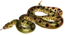 蟒蛇