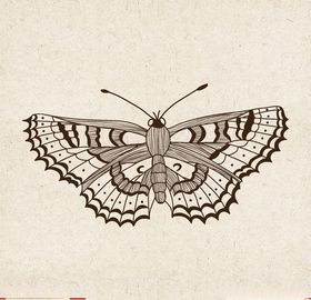 矢量动物矢量植物插画手绘