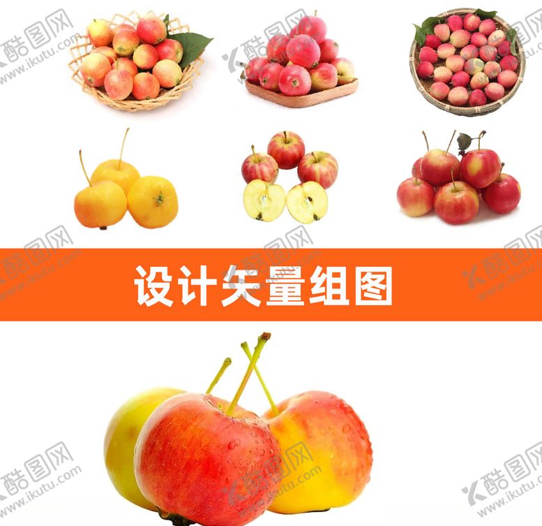 编号：59918709301747493345【酷图网】源文件下载-沙果矢量