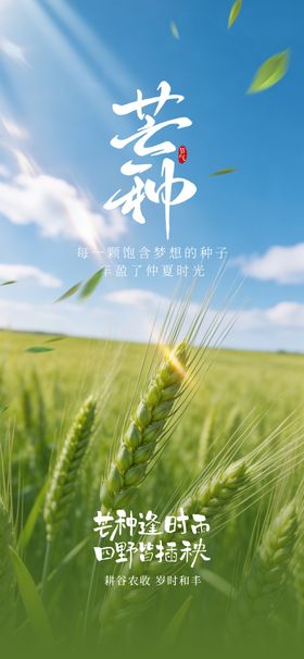芒种