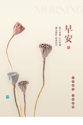早安